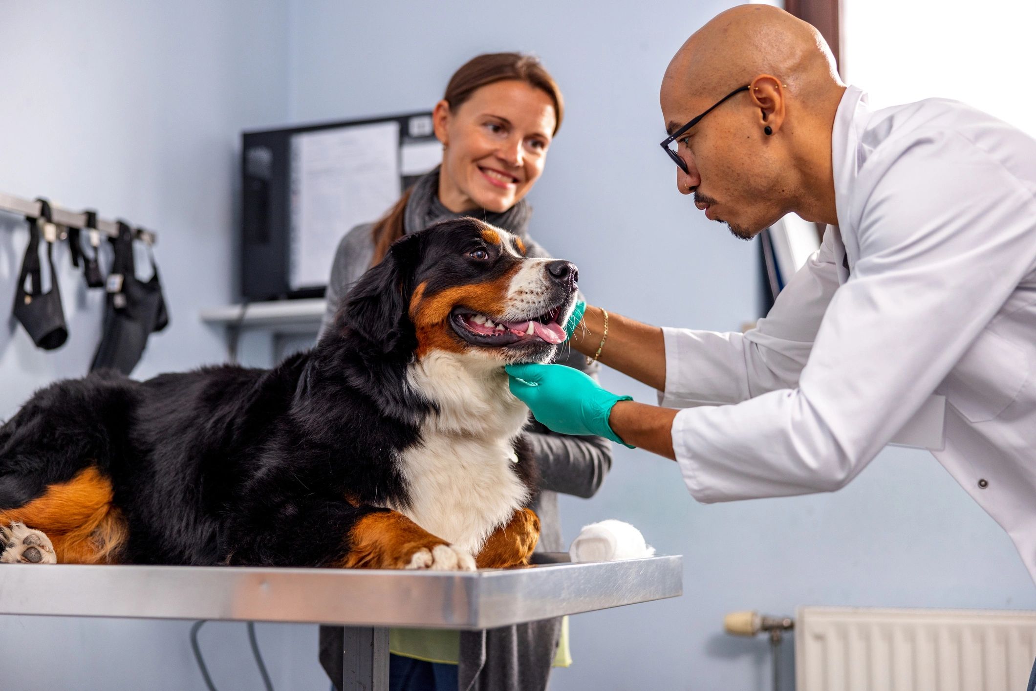 modern veterinary clinic interior