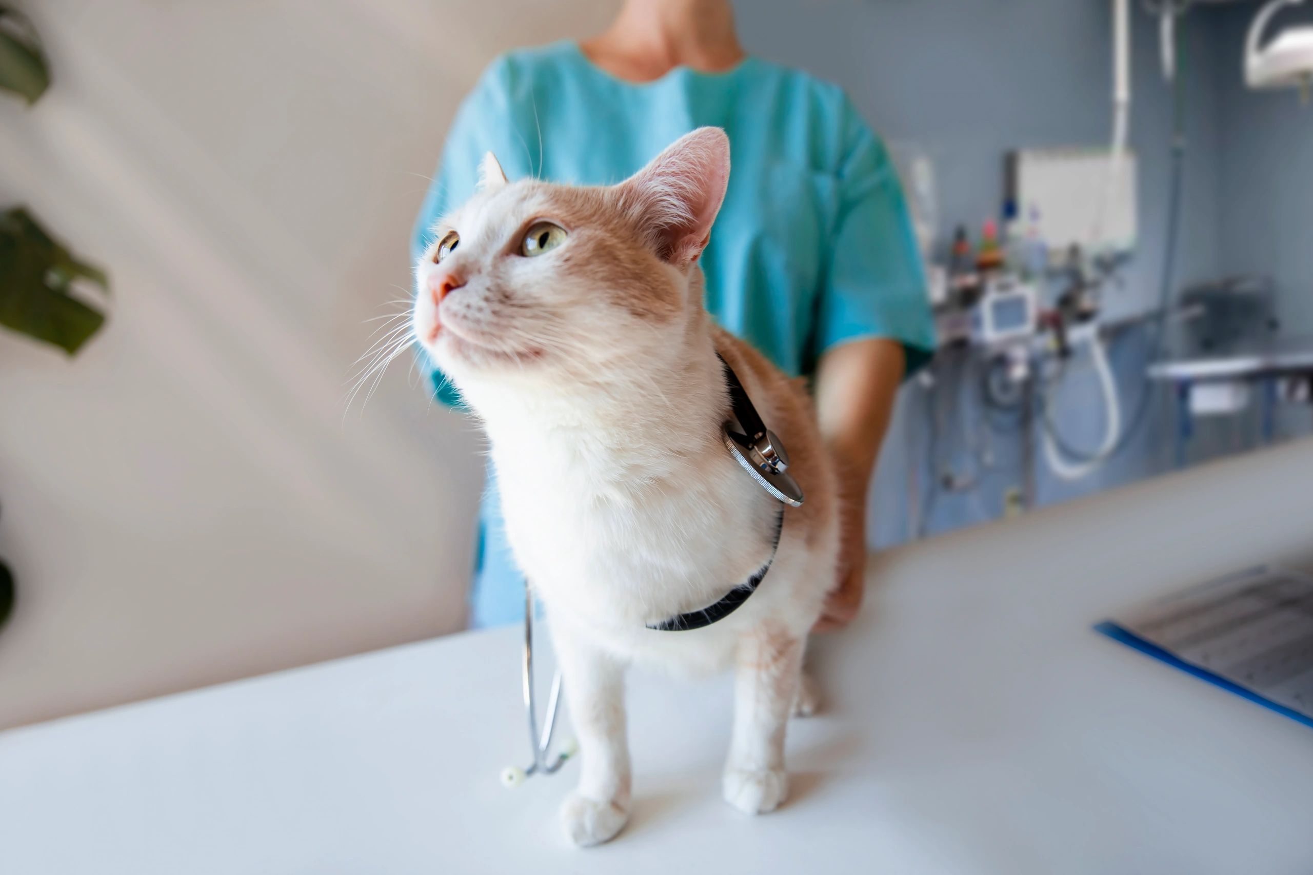 personalized care